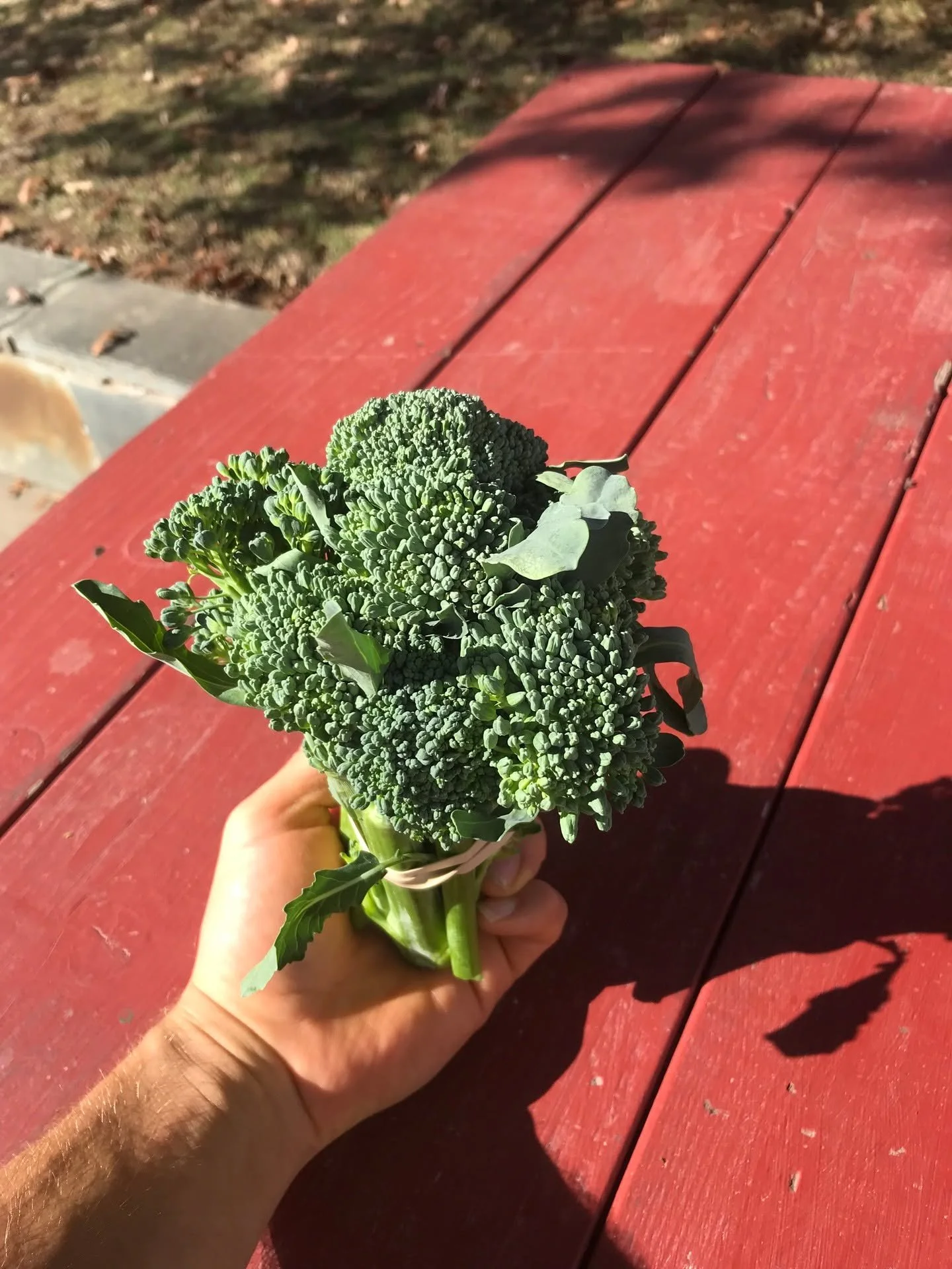 It's winter y'all! ☃️ We've got another chilly market ahead of us. Come see us at the Turner Pavilion by noon tomorrow! Some of our vendors may leave an hour early to the temperatures. We appreciate your support! 

#lovevamarkets #farmersmarket #harr