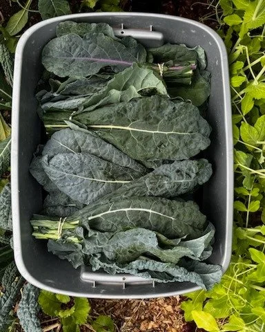 We've got a few vendors who are going to brave the cold and wind tomorrow! We can do your shopping for you. Just give us a honk, we'll come take your order and we'll drop it to your car. 🚗🥬🚙

Some of our vendors may leave at noon due to the cold, 