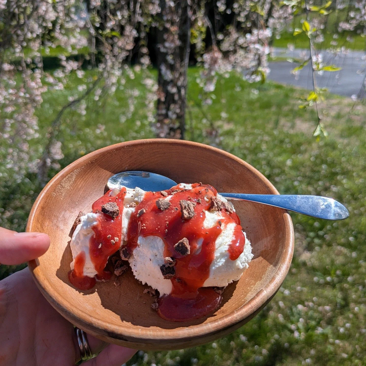 Rhubarb, the first harbinger of spring! @paigetakingpictures features it in this week's recipe with a versatile Strawberry-Rhubarb Sauce, Two Ways. For when you want rhubarb, but don't feel like making a pie. 🍓 🥢Subscribe to our newsletter for the 