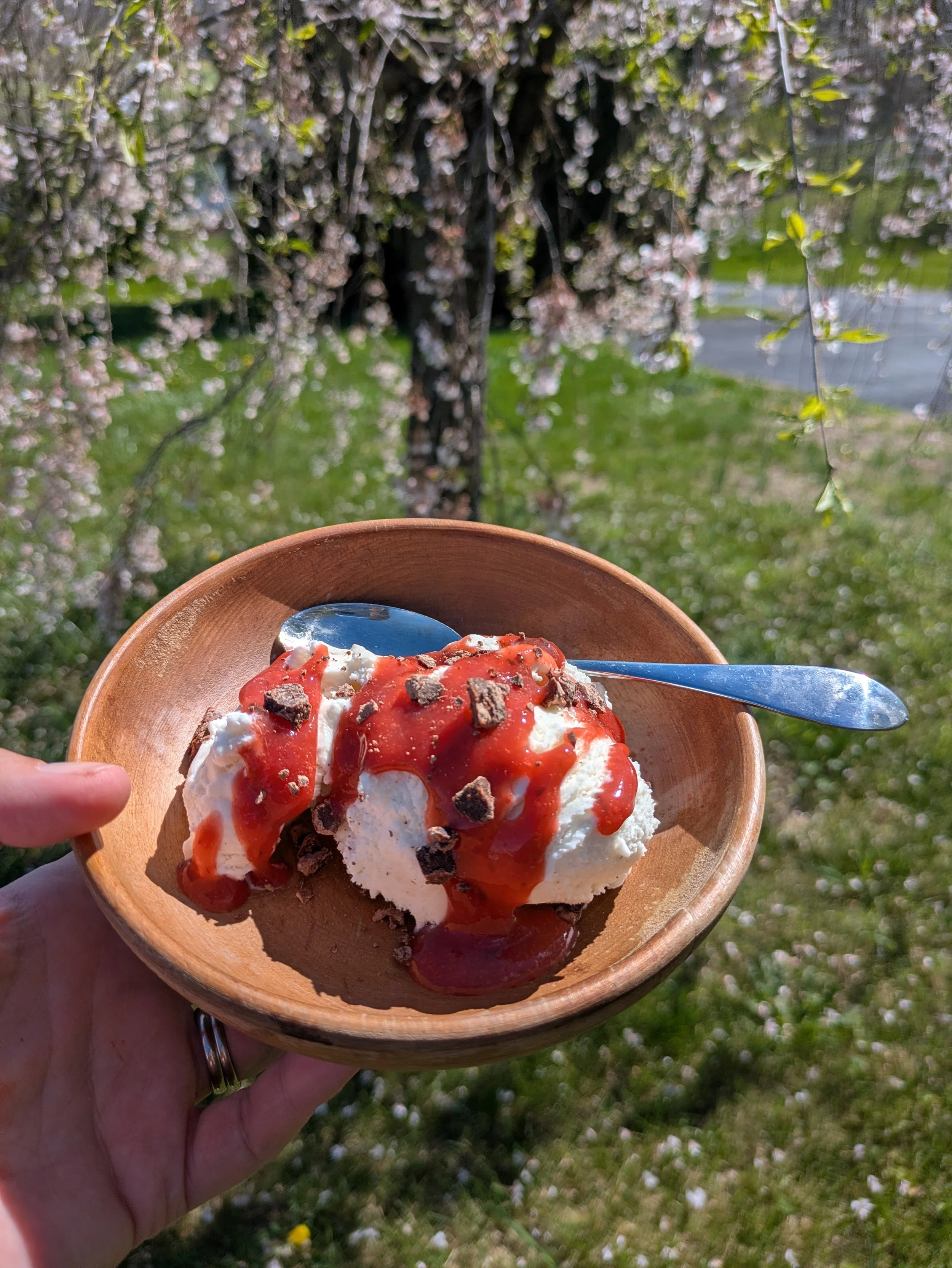 Strawberry-Rhubarb Sauce, Two Ways