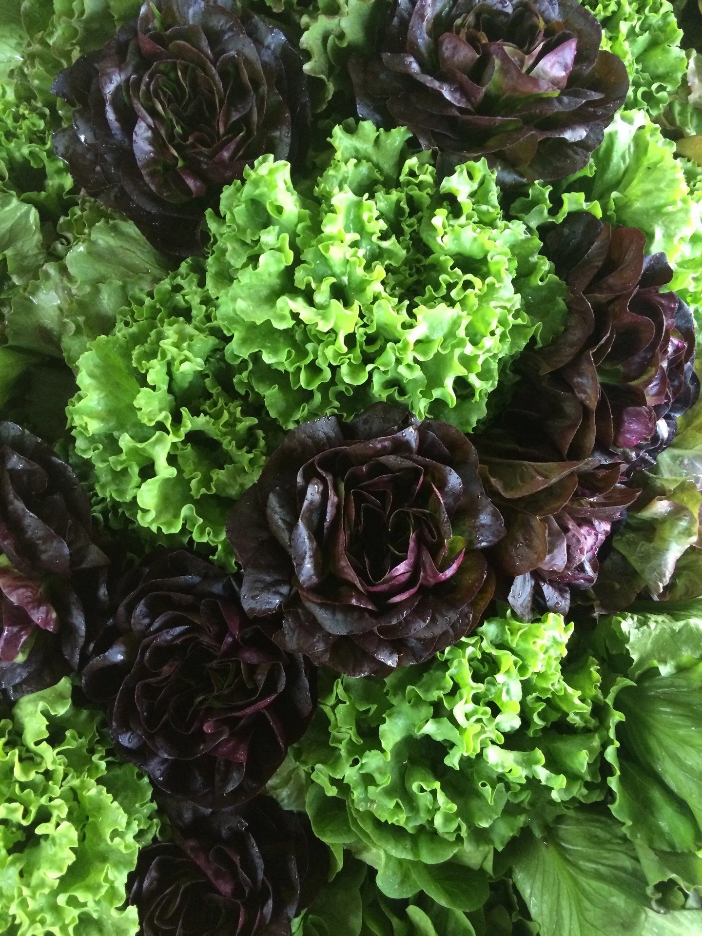 Tomorrow's a BIG day at the Saturday Market. 🌍 We've got a cooking demo with JMU Culinary Nutrition all day, @travisvallemusic playing from 10am to noon, AND Blacks Run Clean Up Day is on the grassy lot from 9am to noon thirty! Come and enjoy the be