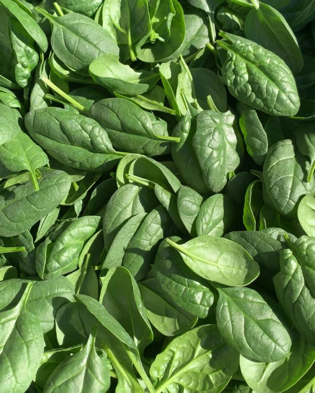 We're back at it again with our second Tuesday Market of the year! Swing by for a mid-week grocery run, for breakfast or for lunch. We're also one week away from our Earth Day celebration markets! 🌍🌏🌎

#lovevamarkets #farmersmarket #harrisonburgva