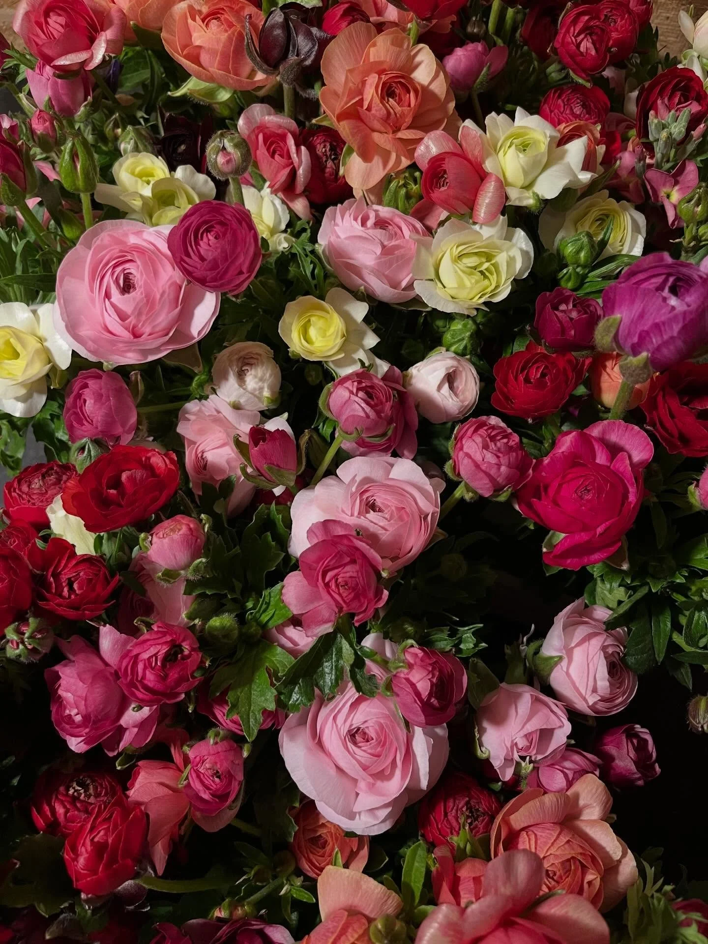 ☔️ April showers bring May flowers! Snag a bouquet of beautiful ranunculus from @seasonsbountyflowers and be sure to visit @maryjosflowersva who is back for the season! Thinking ahead to Mother&rsquo;s Day, we&rsquo;re sure mom would appreciate flowe