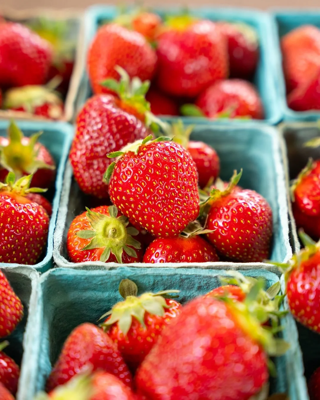 Celebrate spring with a trip to the Harrisonburg Farmers Market! Our vendors have no-spray strawberries - yum! See you there, 8am - 1pm 🍓 

#Lovevamarkets #farmersmarket #harrisonburgva #shoplocal #freshproduce