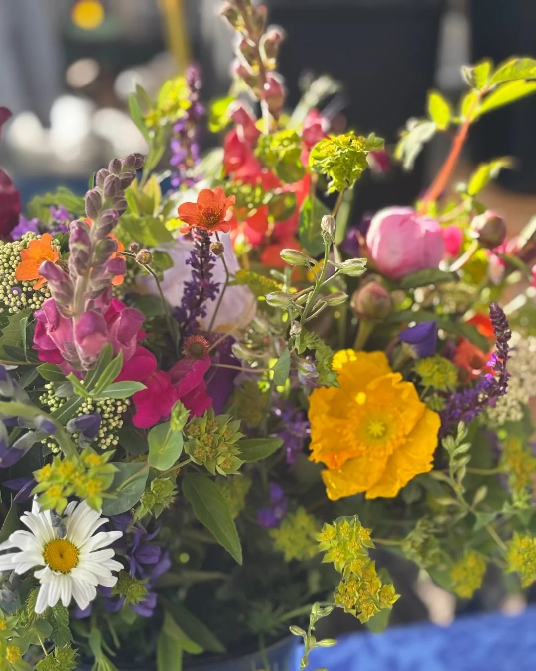 Rejoice for rain! Our farms desperately need it. Don your wellies, bring your umbrella, dig out your rain coat, and join us on Saturday for a Memorial Day weekend Market. @sugarandbeancafe will have hot hash browns, @lowhillgarden is running a lettuc