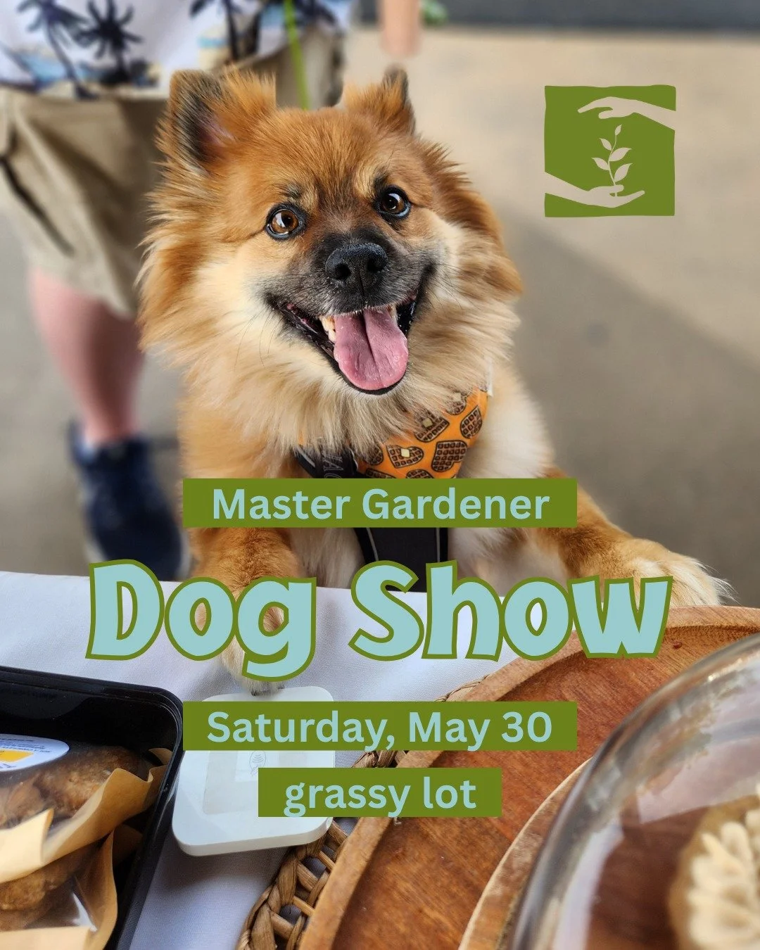 Show off your dog&rsquo;s best tricks, agility, or cute costume on Saturday, May 30, from 9:00 AM to 1:00 PM at the Harrisonburg Farmers Market. The show will take place in the grassy lot adjacent to the Market.

🐾 Registration 9:00 - 9:50am 
🐾 Sho