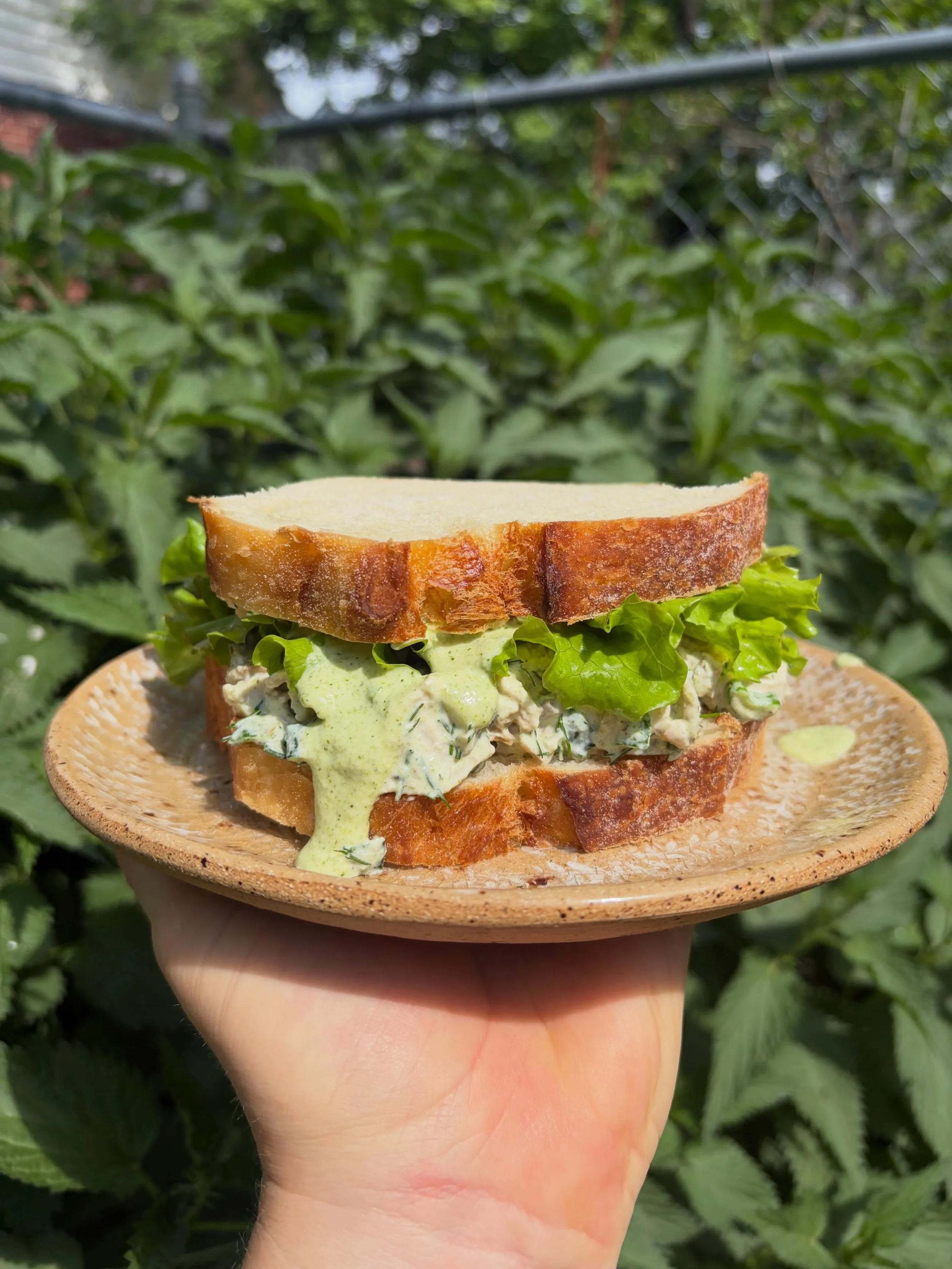 Recipe of the Week! Green Goddess Chicken Salad. Look no further for your lunch meal prep. She&rsquo;s herby, she&rsquo;s hearty, she&rsquo;s good over greens or between two slices of Market sourdough. Subscribe to our newsletter to receive this reci