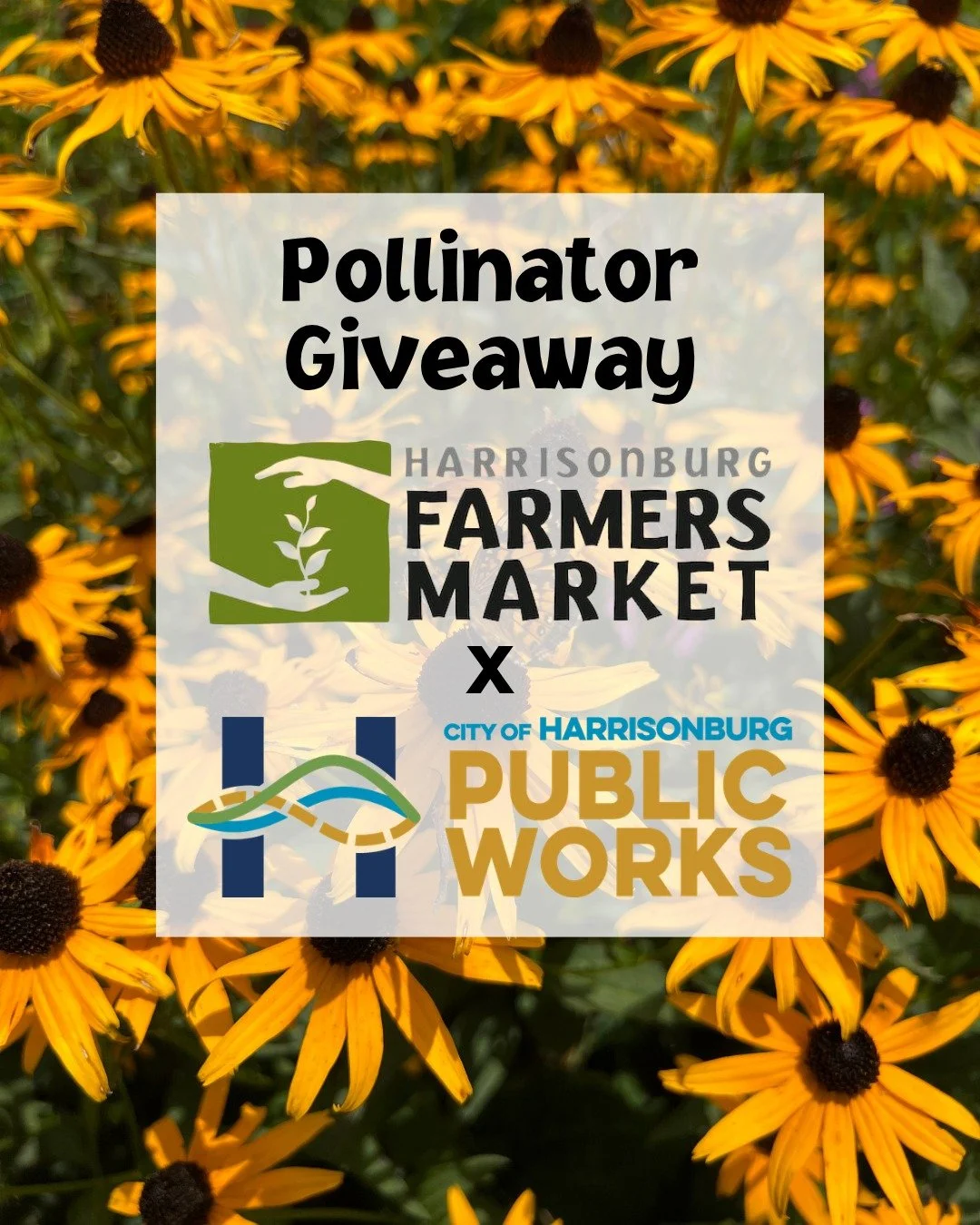 Celebrate Pollinator Month at the Tuesday Market with FREE trees and plants from @hbgpublicworks (while supplies last). See you there, 8am - 1pm!

#lovevamarkets #farmersmarket #harrisonburgva #shoplocal #freshproduce