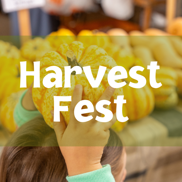 Harvest Fest is a family-friendly event marking the end of the harvest season with activities, games, food, and live music. Enjoy pumpkin painting, field games, a pie contest,  a farm truck photo booth, and more. The event is organized by James Madis