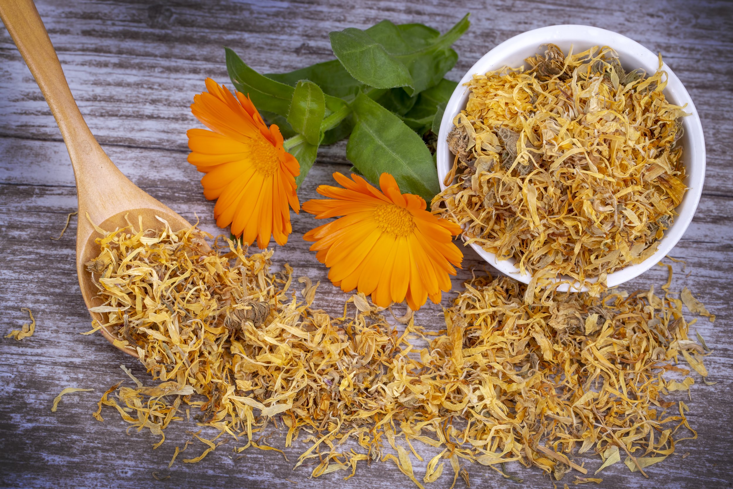 fresh-and-dried-calendula-officinalis-herbal-flowe-2023-11-27-05-03-02-utc.jpg