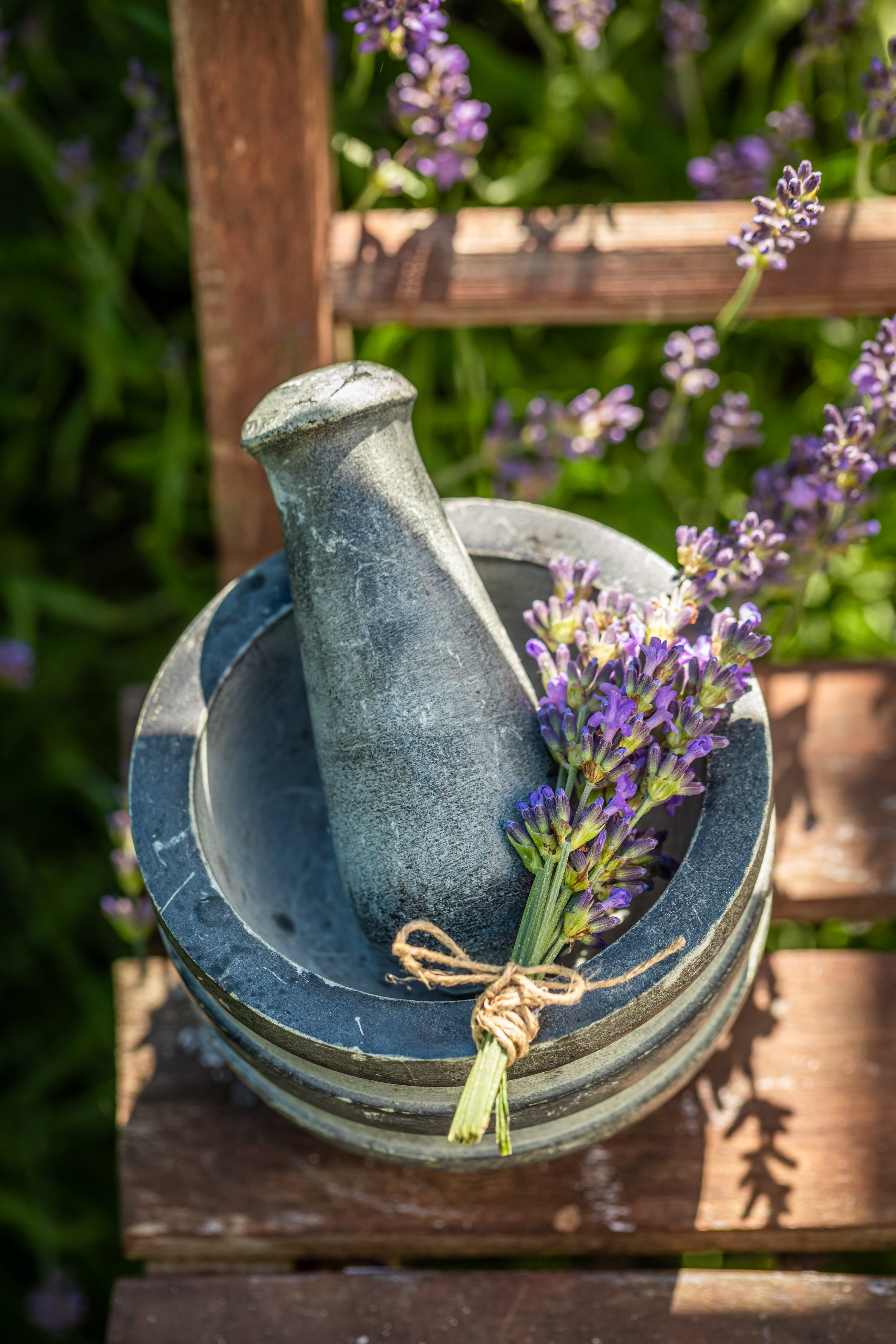 natural-and-moisture-lavender-soap-made-of-fresh-i-2023-11-27-05-26-11-utc.jpg