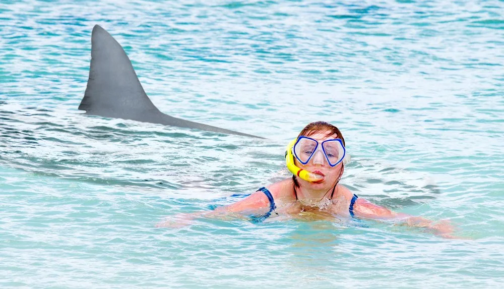 A swimmer unaware that a shark is close by behind them