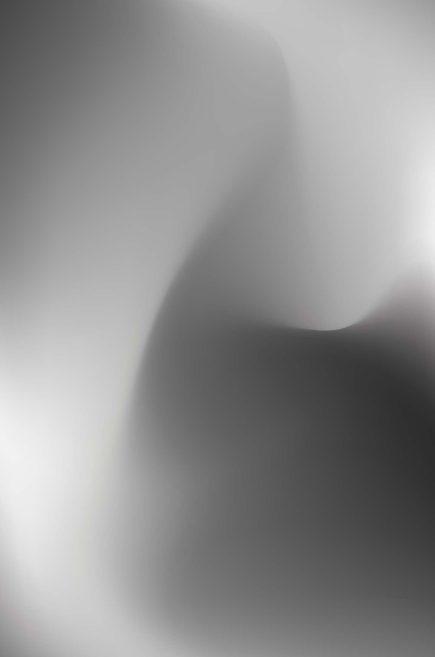 FinalCollection_All_GrayScale_YurovFedor_Page_2.jpg