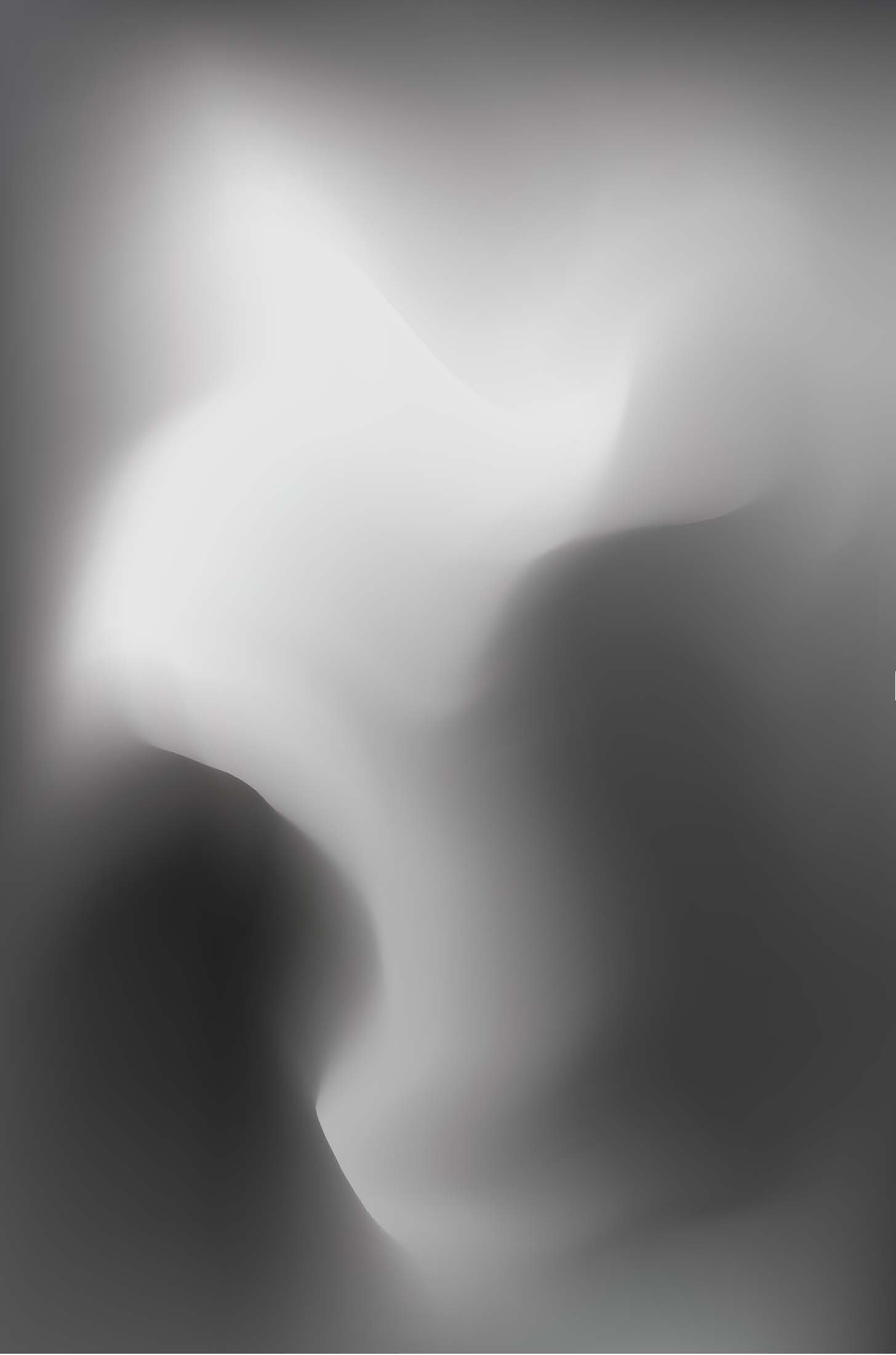 FinalCollection_All_GrayScale_YurovFedor_Page_4.jpg