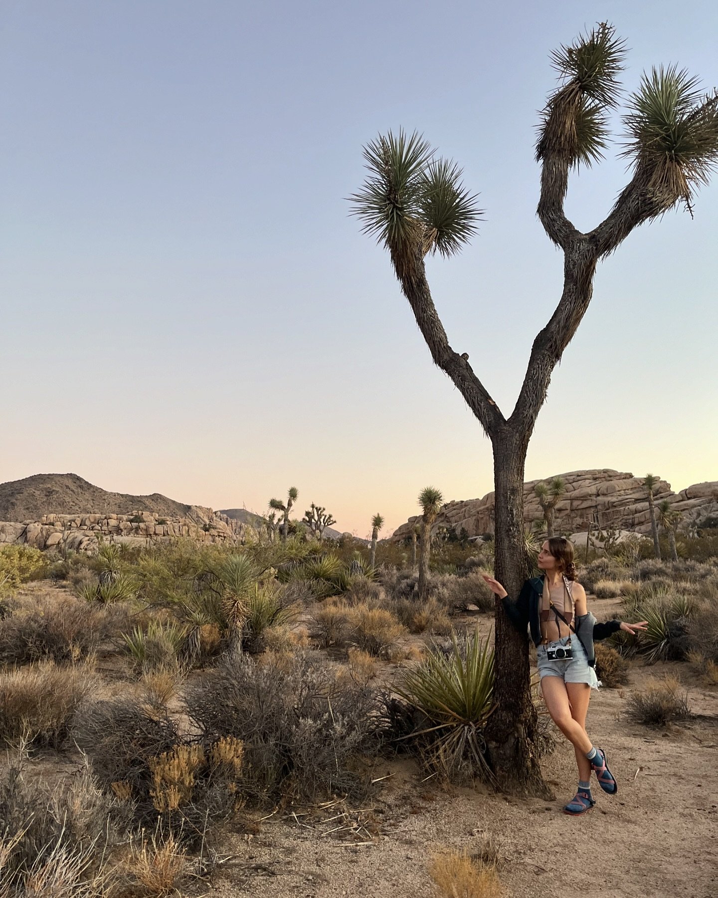 best weekend &lt;3 - the annual jtree trip + a scorpion this year 🦂