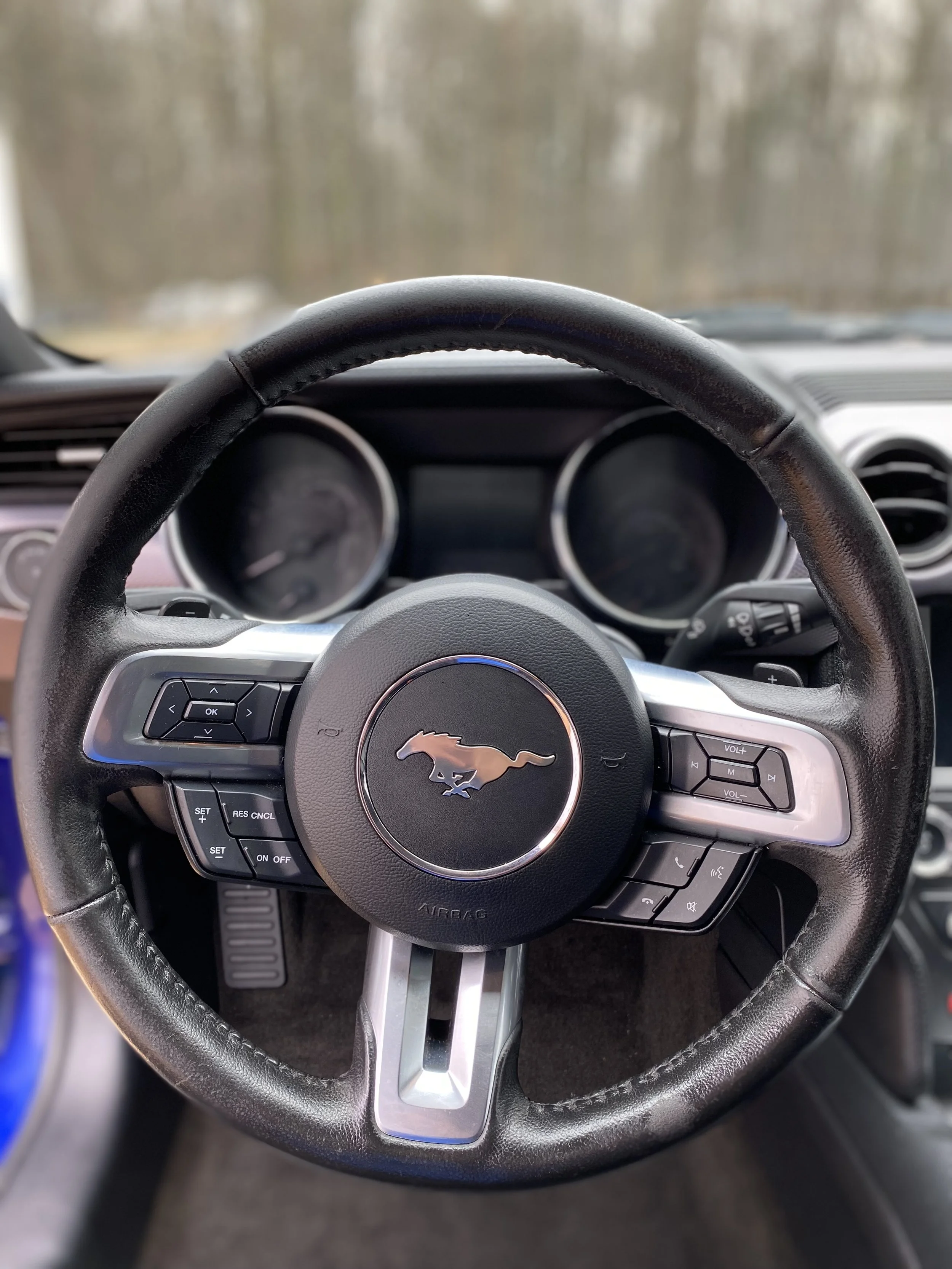 Interior Detailer.jpg