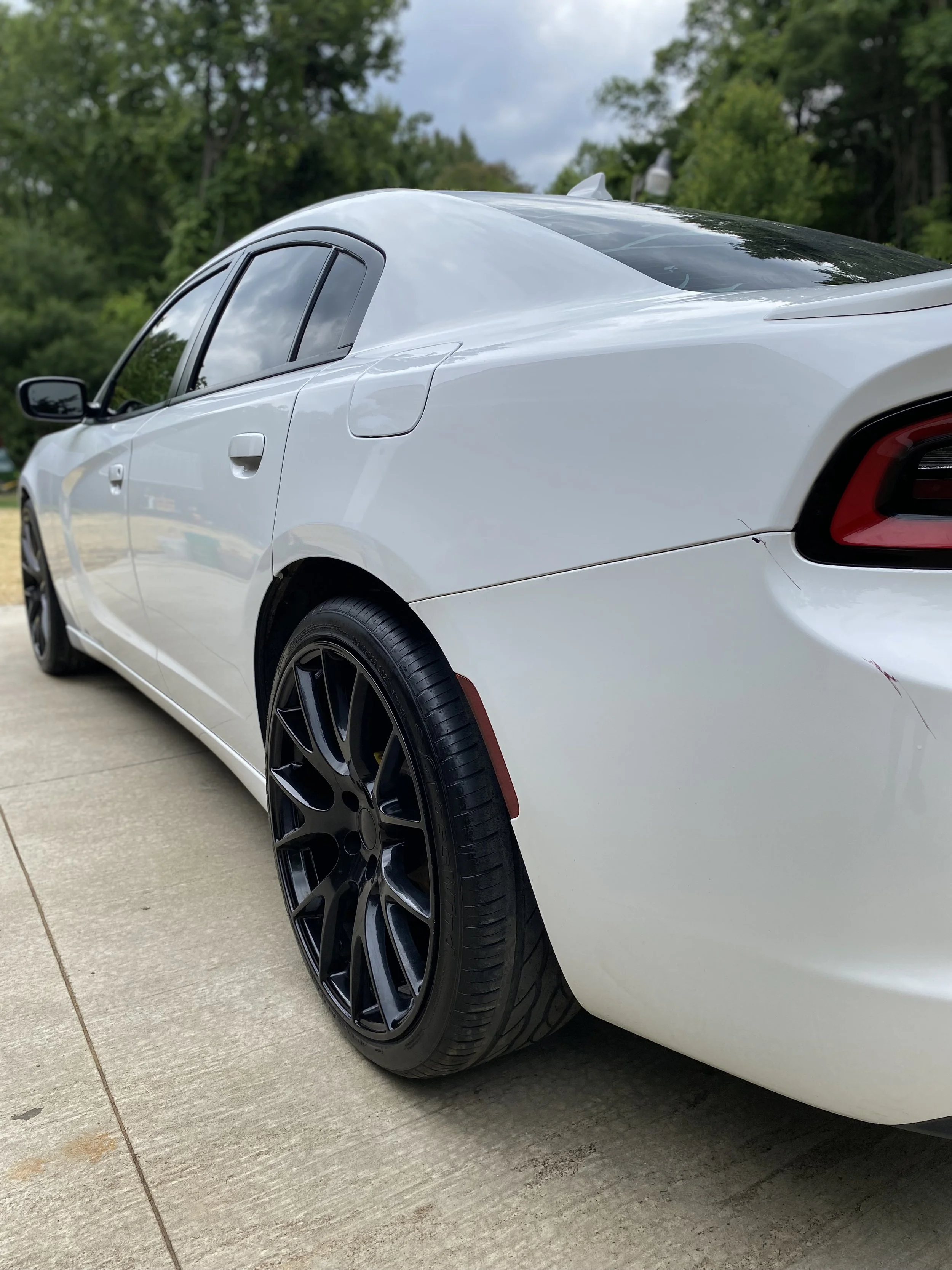 Bug removal near me.jpg