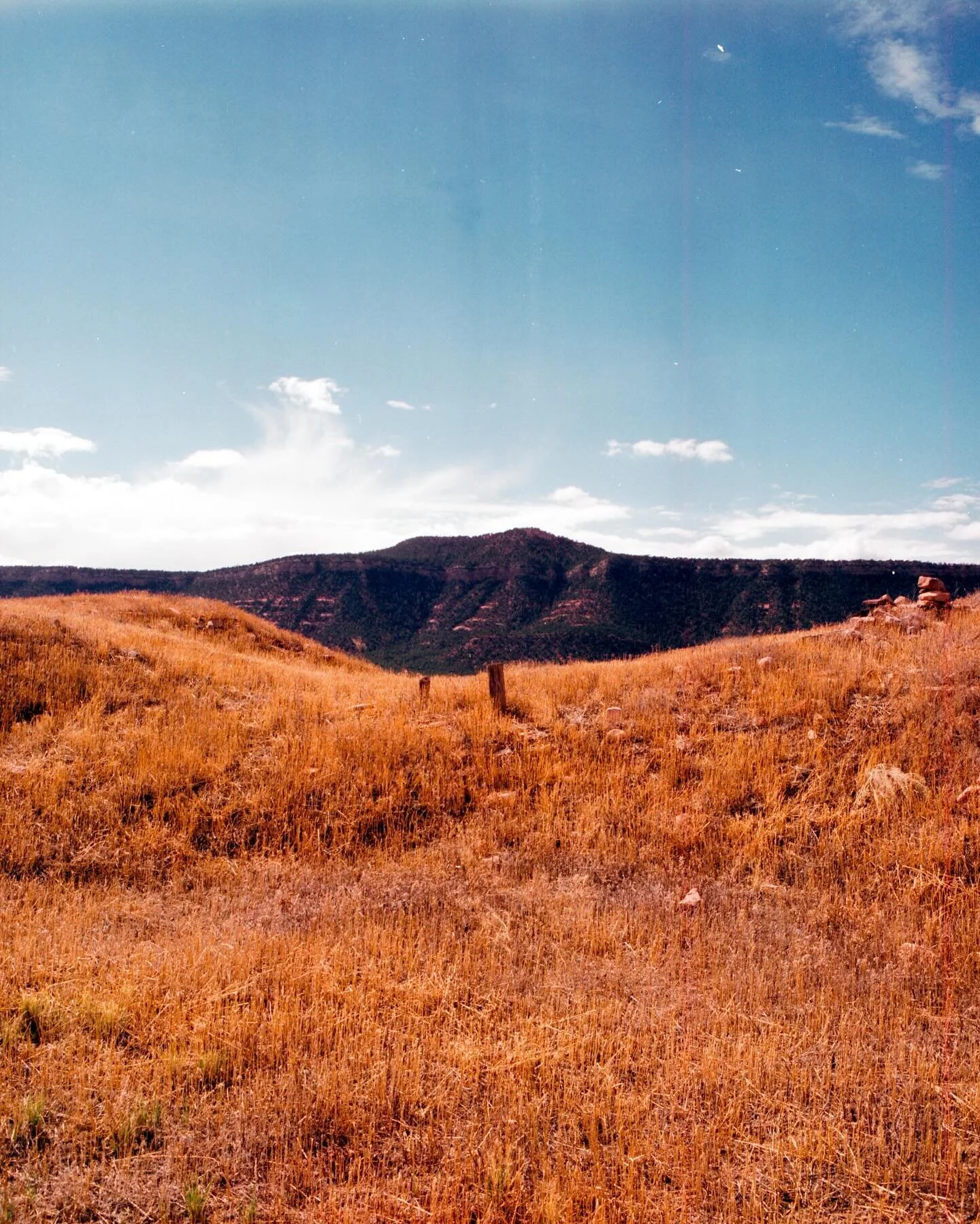 Toas, NM
Fall &lsquo;23

#filmphotography #porta400 #pentax67