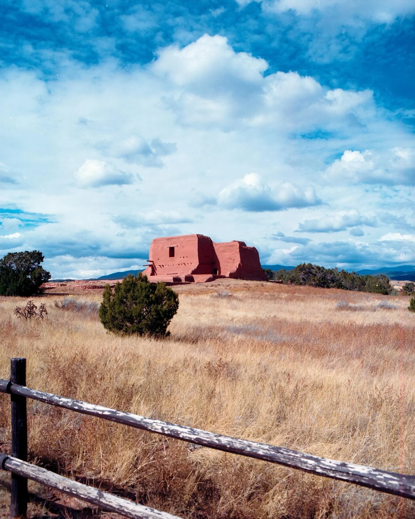 Toas, NM
Fall &lsquo;23

#filmphotography #pentax67 #porta400 #kodakfilm #toas