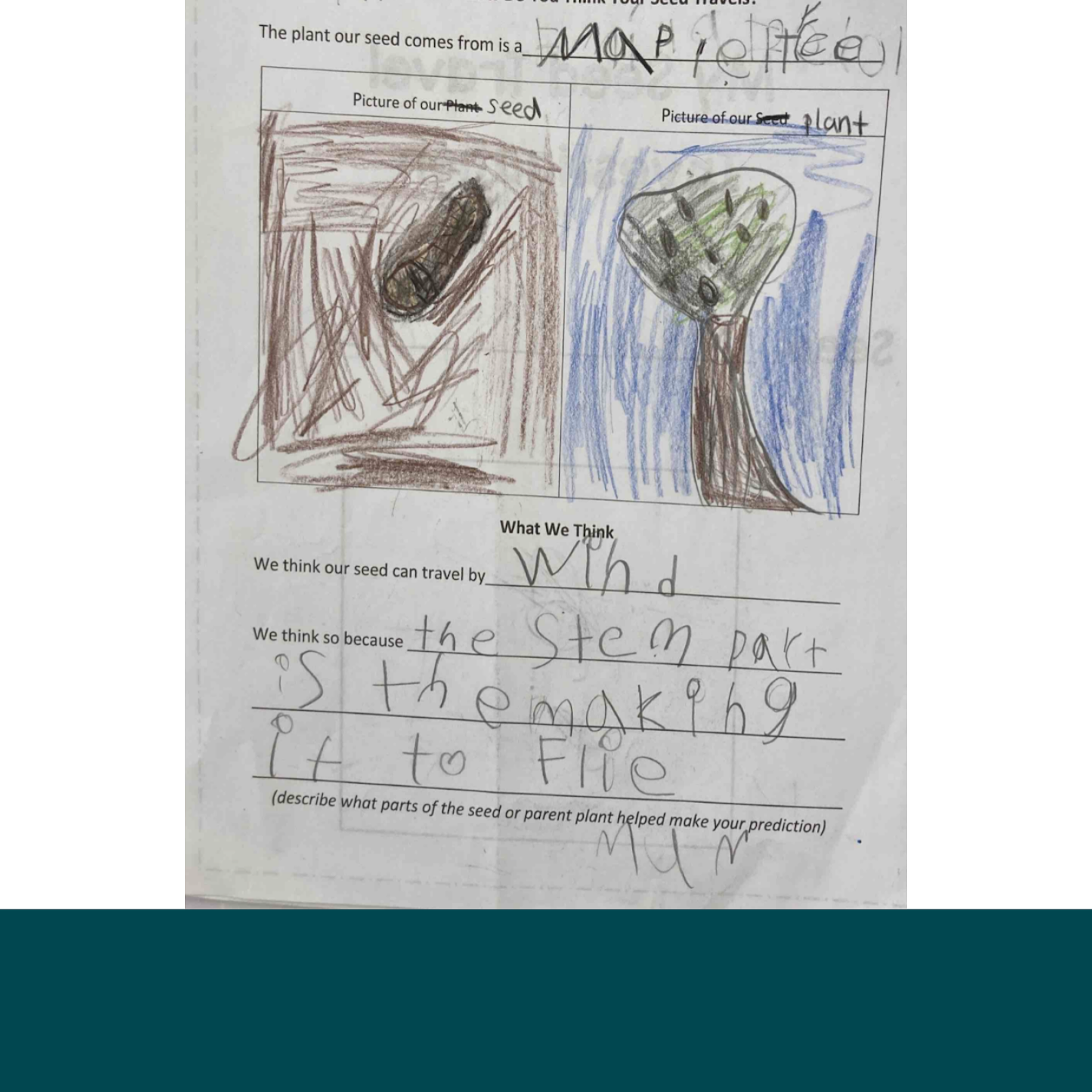  1. Maya's initial prediction. 