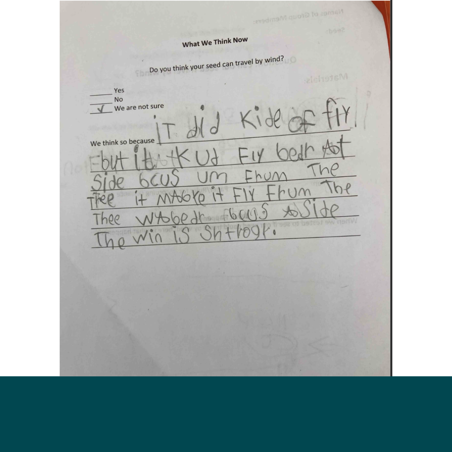  5. Maya’s initial claim. 