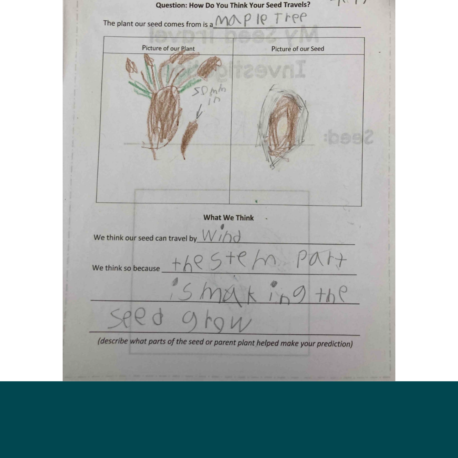  2. Fay’s initial prediction. 