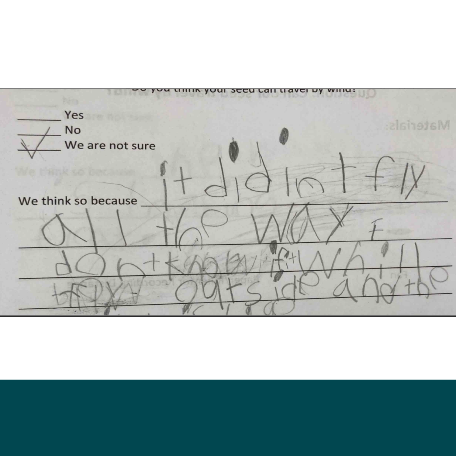  6. Fay’s initial claim. 