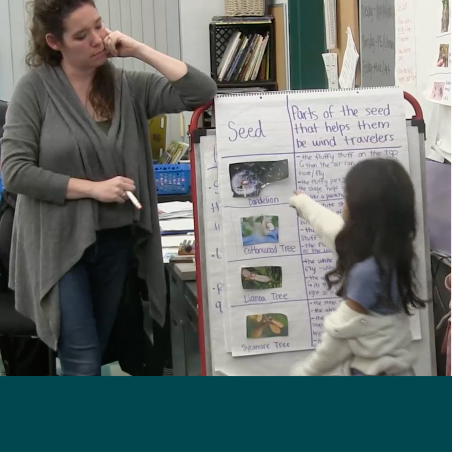  18. Maya points at the dandelion seed. 