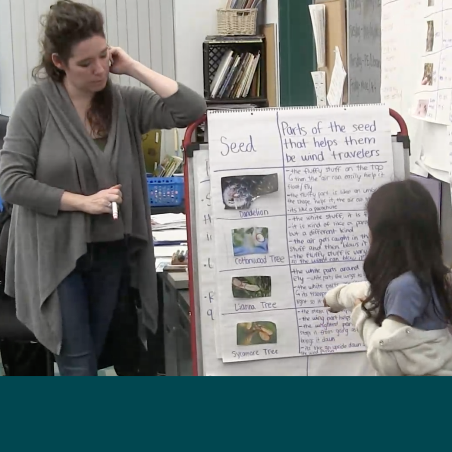  17. Maya points to the sycamore seed. 