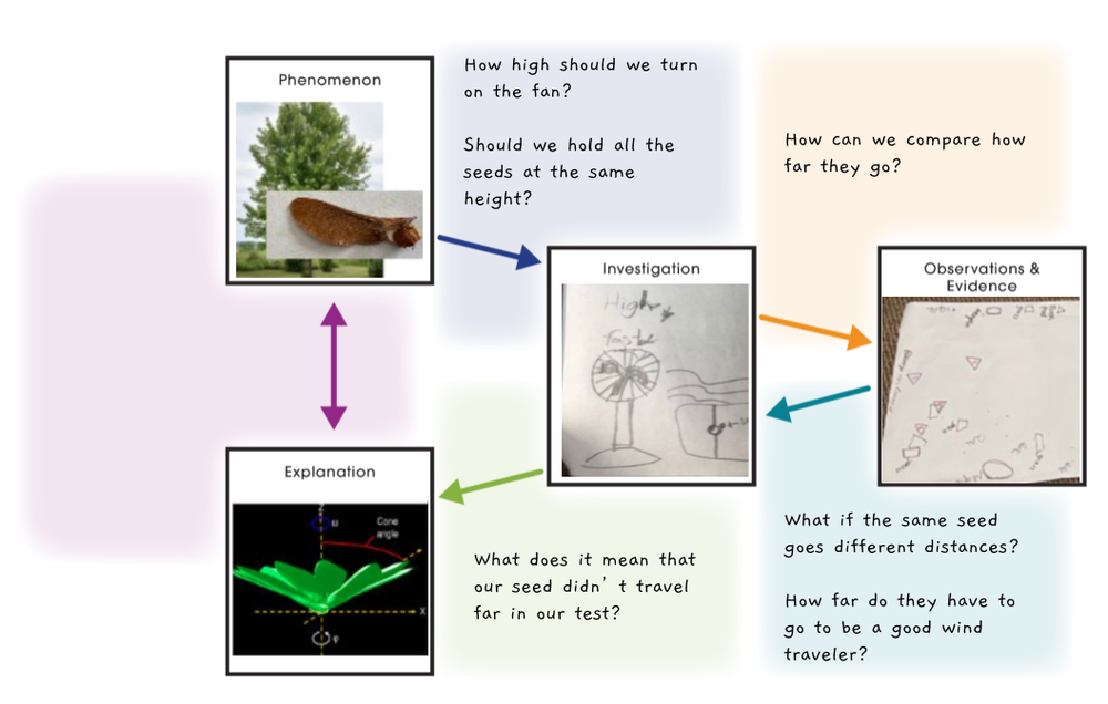 Seeds Investigation — INVESTIGATIONS PROJECT