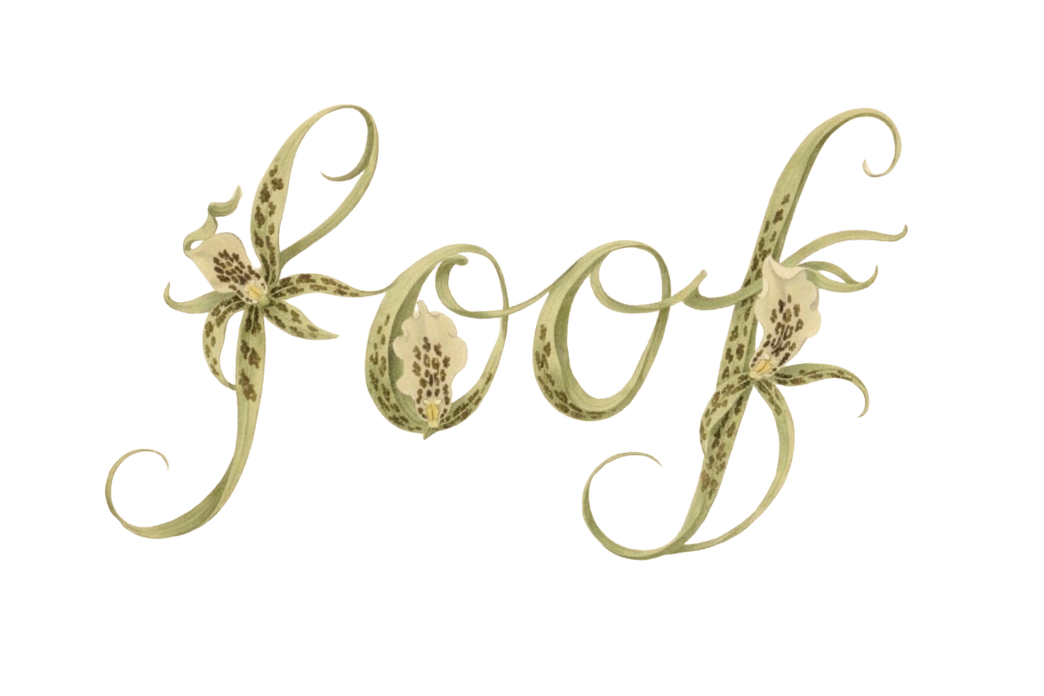 FOOF