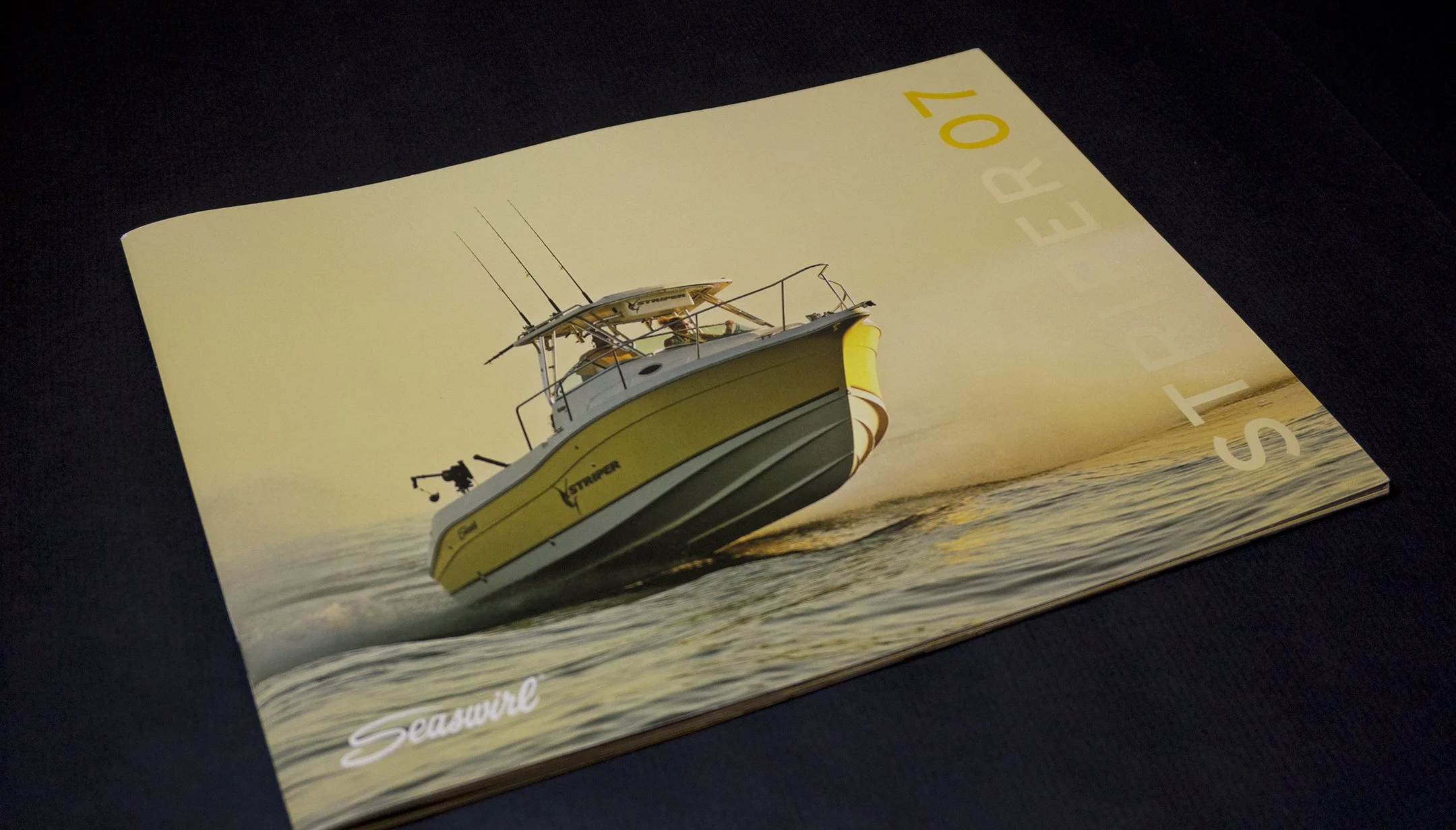 DSC00042 - striper cover.jpg