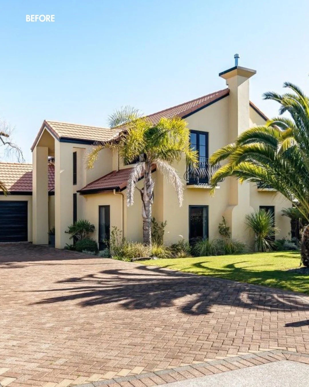 Nish Inwood - Wild Sea Creative Digital Marketing NZ