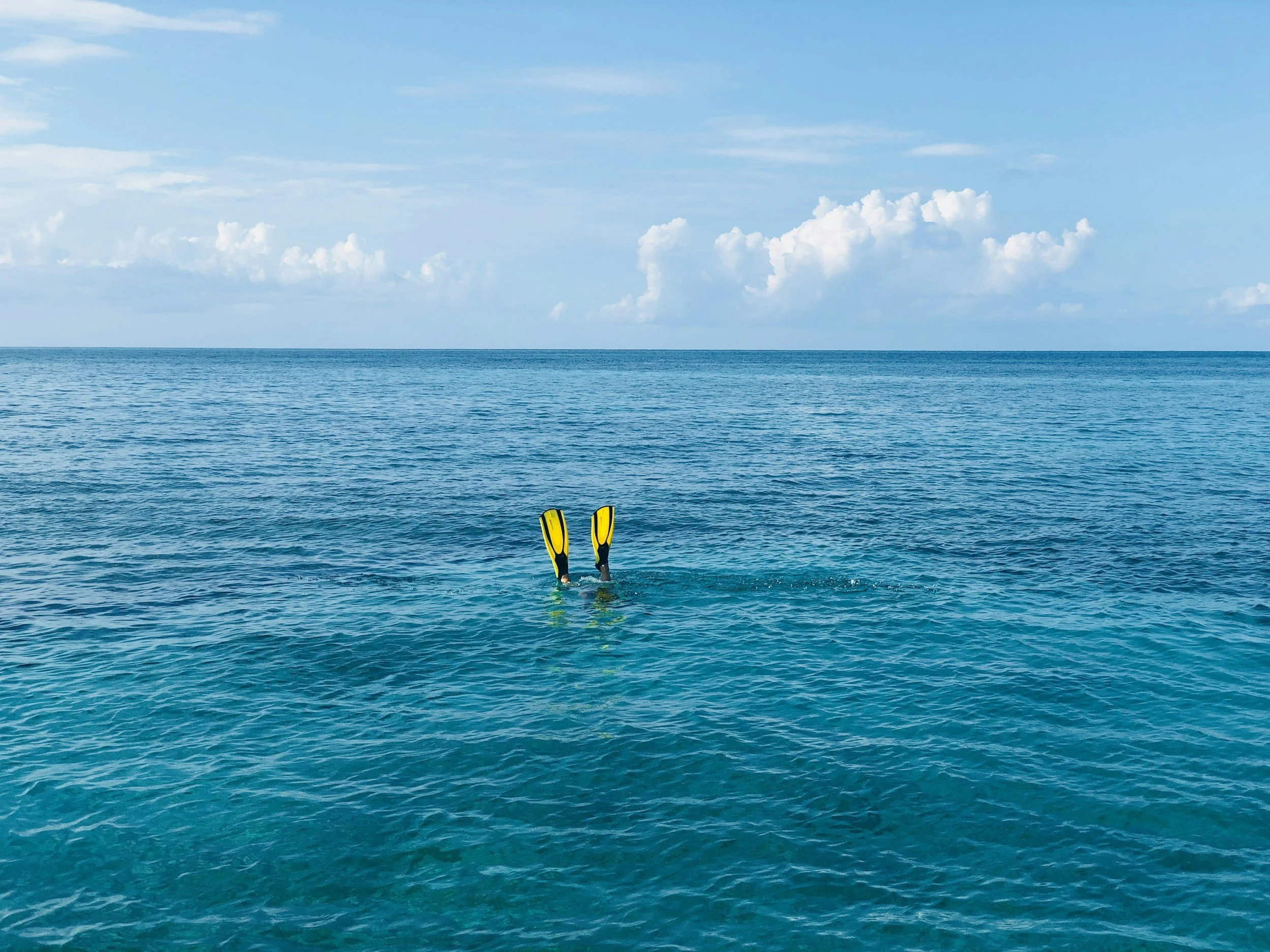 Swimming Paddle in the ocean