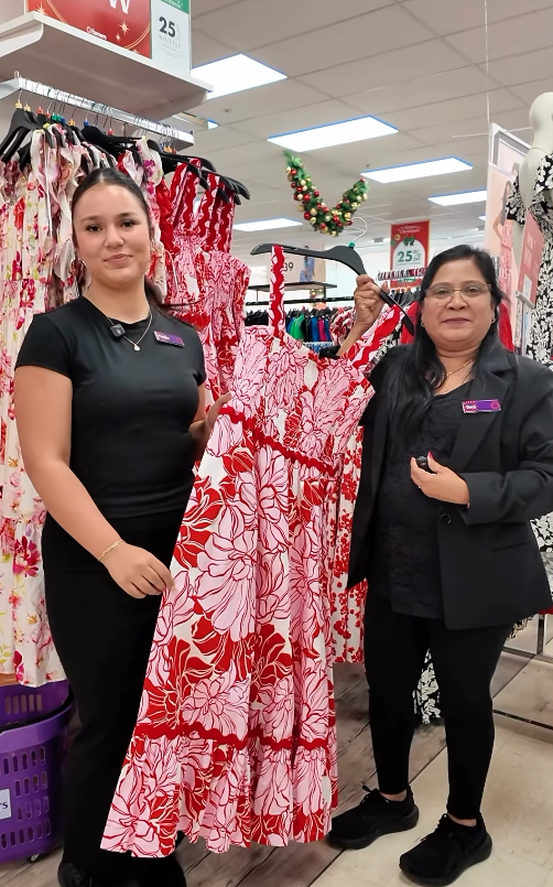 Wild Sea Creative - Nish Inwood Digital Marketing NZ