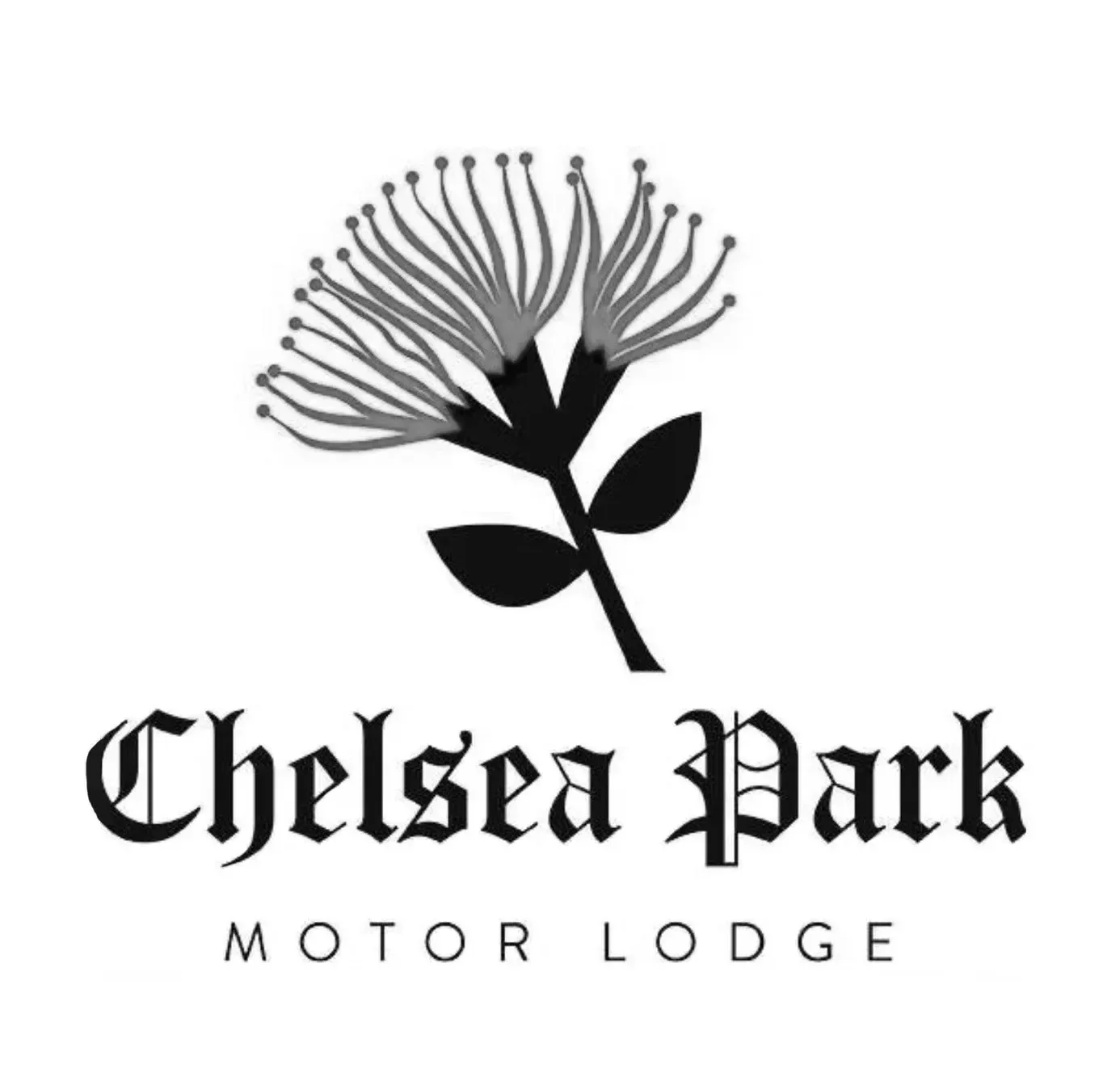 Wild Sea Creative - Chelsea Park Motor Lodge