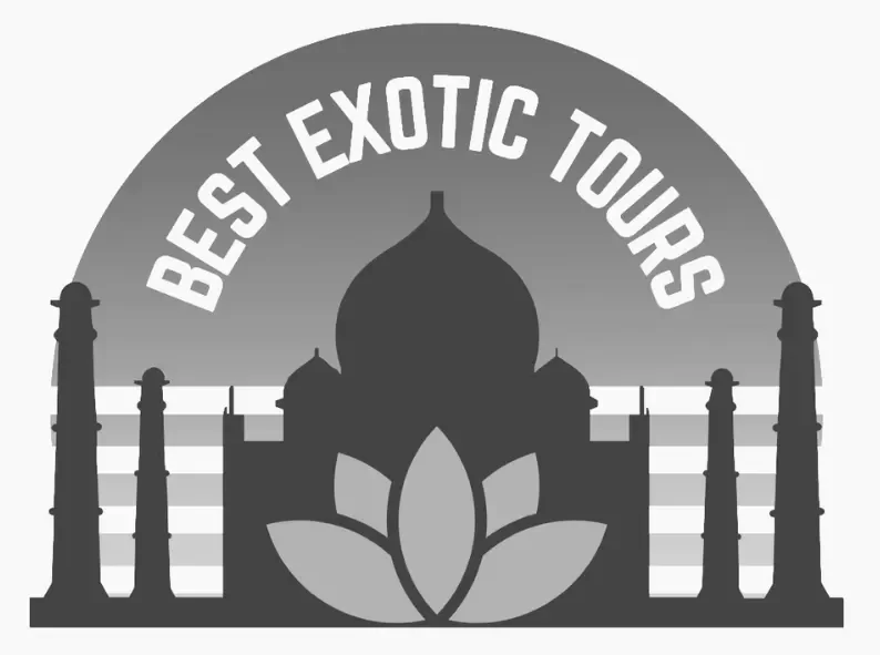 Wild Sea Creative - Best Exotic Tours