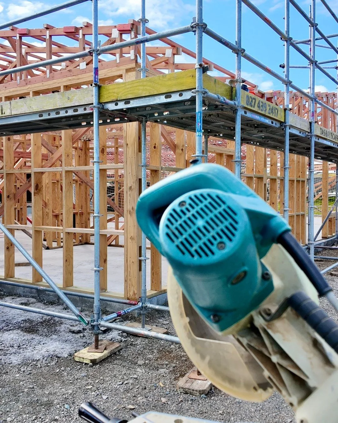 Nish Inwood - Wild Sea Creative Digital Marketing NZ