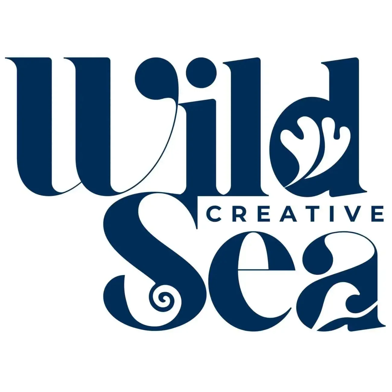 Logotype with stylized words 'Wild Sea Creative' in navy blue, with a leaf integrated into the 'd' in 'Wild' and a spiral in the 'S' in 'Sea'.