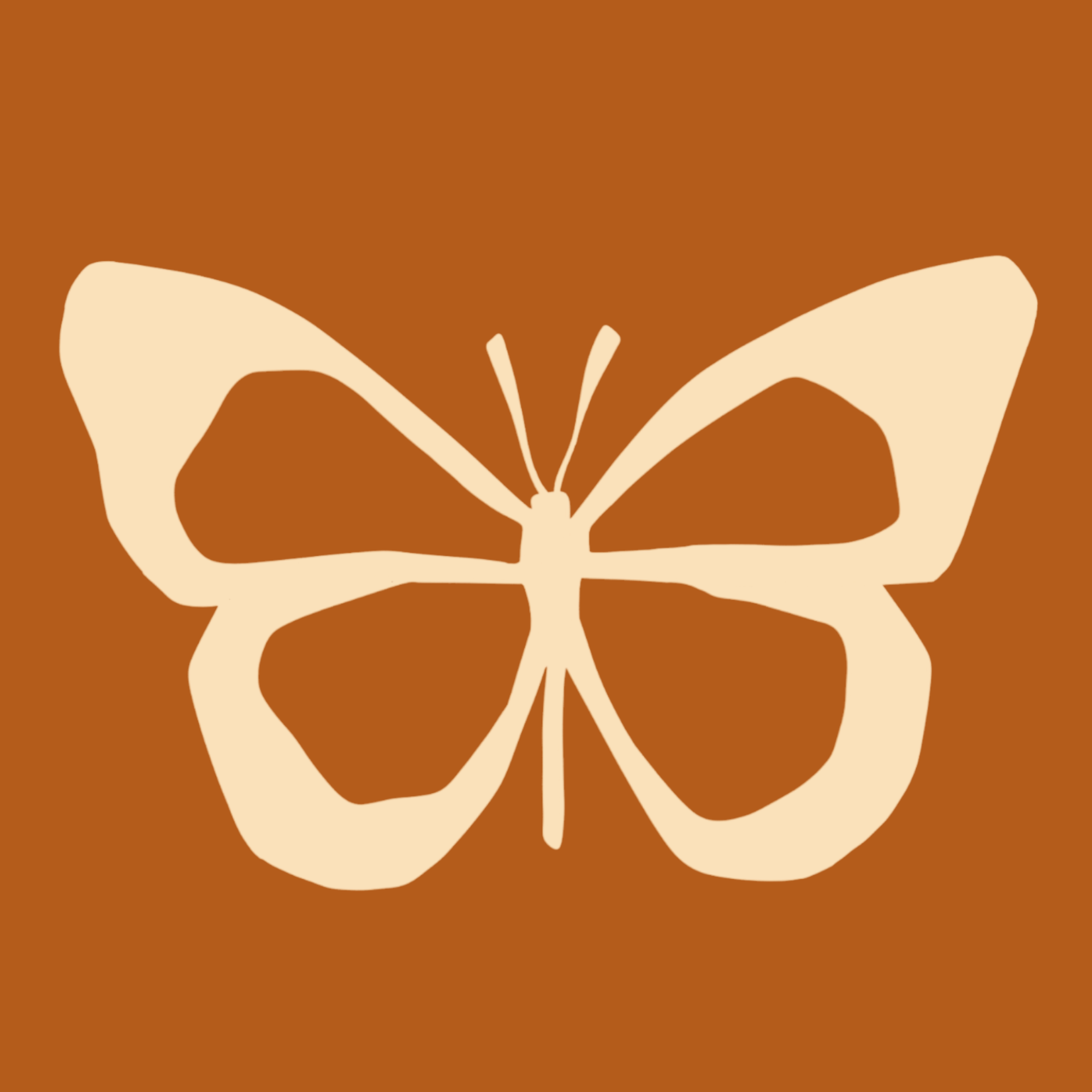 Nish Inwood - Wild Sea Creative - Digital Marketing Specialist NZ 