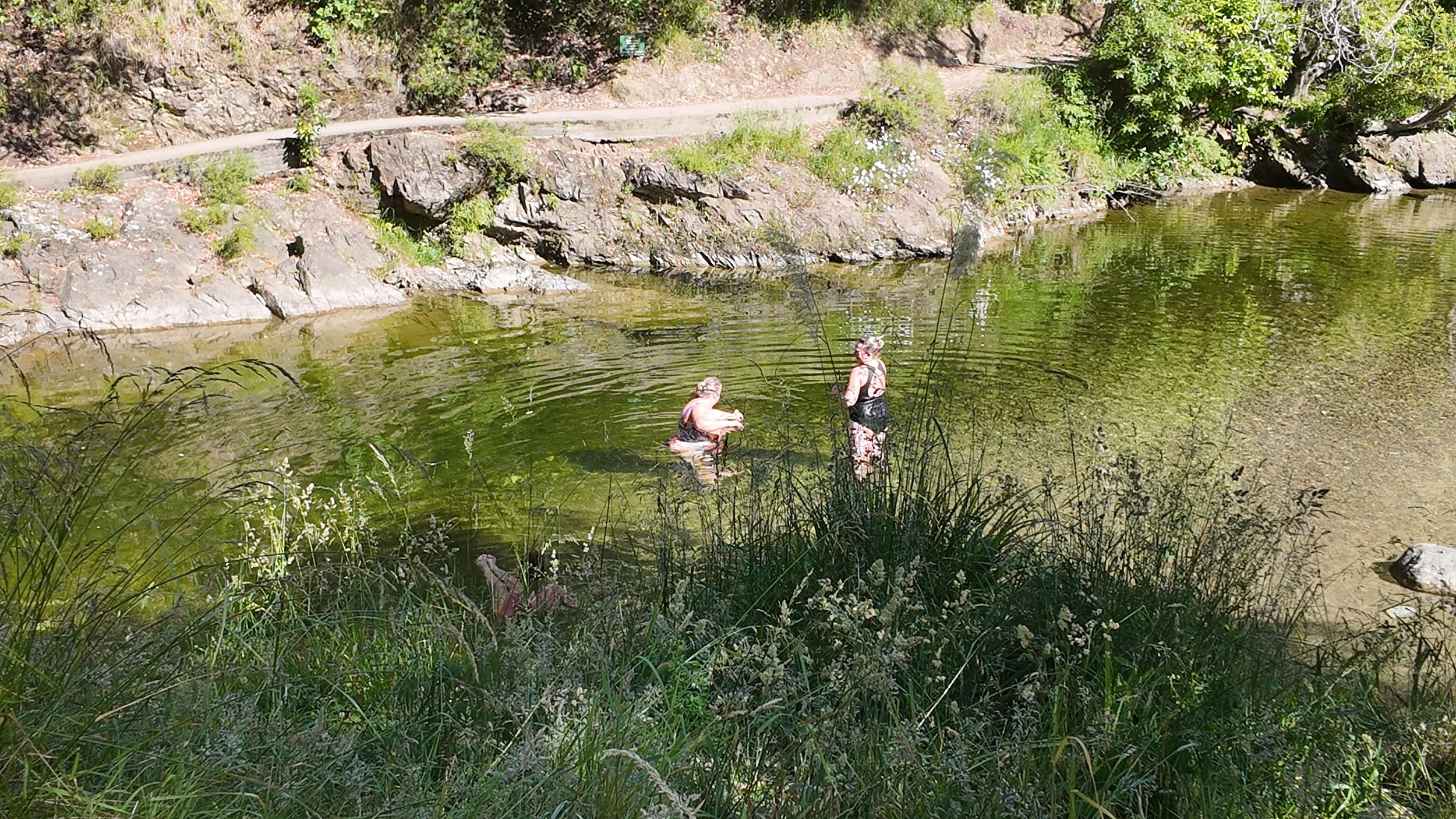 Nish Inwood - Wild Sea Creative Digital Marketing NZ