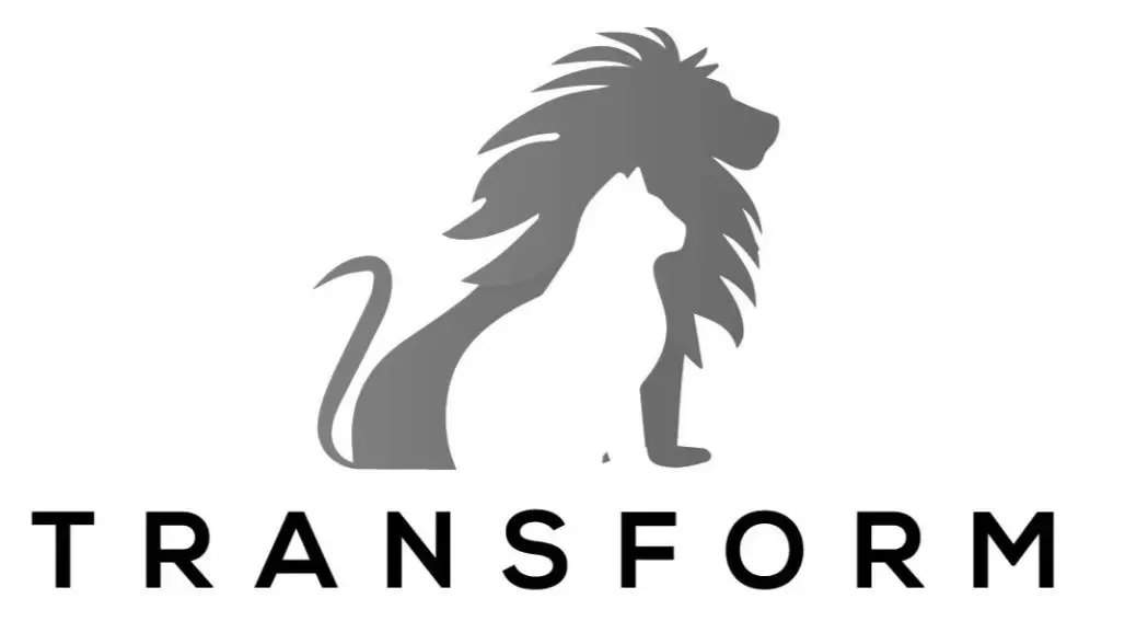 Wild Sea Creative - Transform