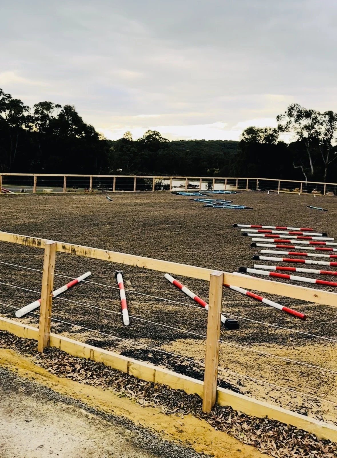 Poles pattern, pole work for AML Poles Clinic, AML Equestrian Coaching.