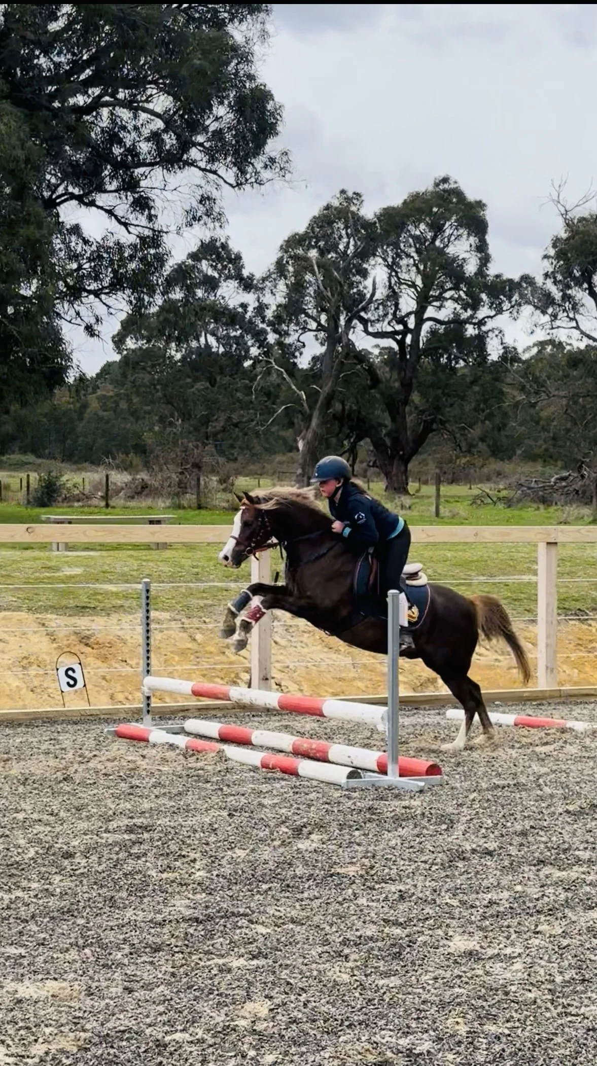 11am (1st spot) - Grids  Jump Training - 70cm to 80cm