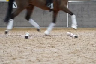 Managing&nbsp;non-symptomatic kissing spines&nbsp;(ORSP) as a conditioning-focused trainer