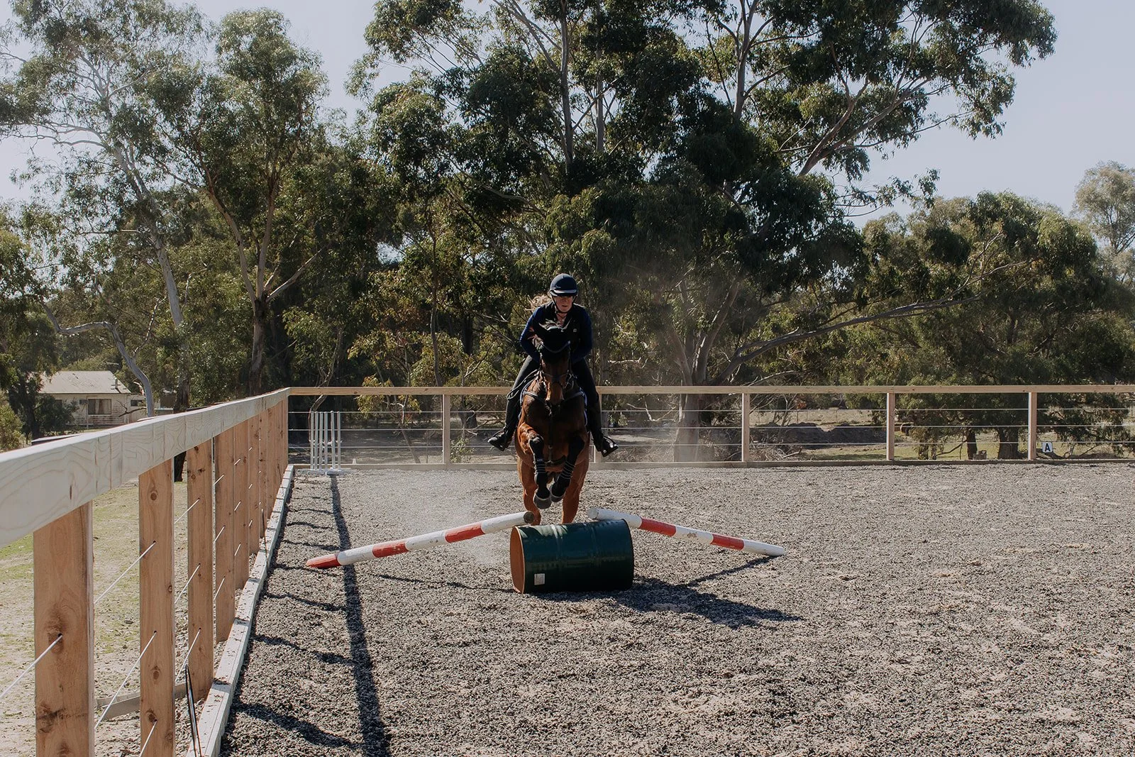 3pm (2nd spot) - Accuracy Jumping Class - 70cm to 80cm
