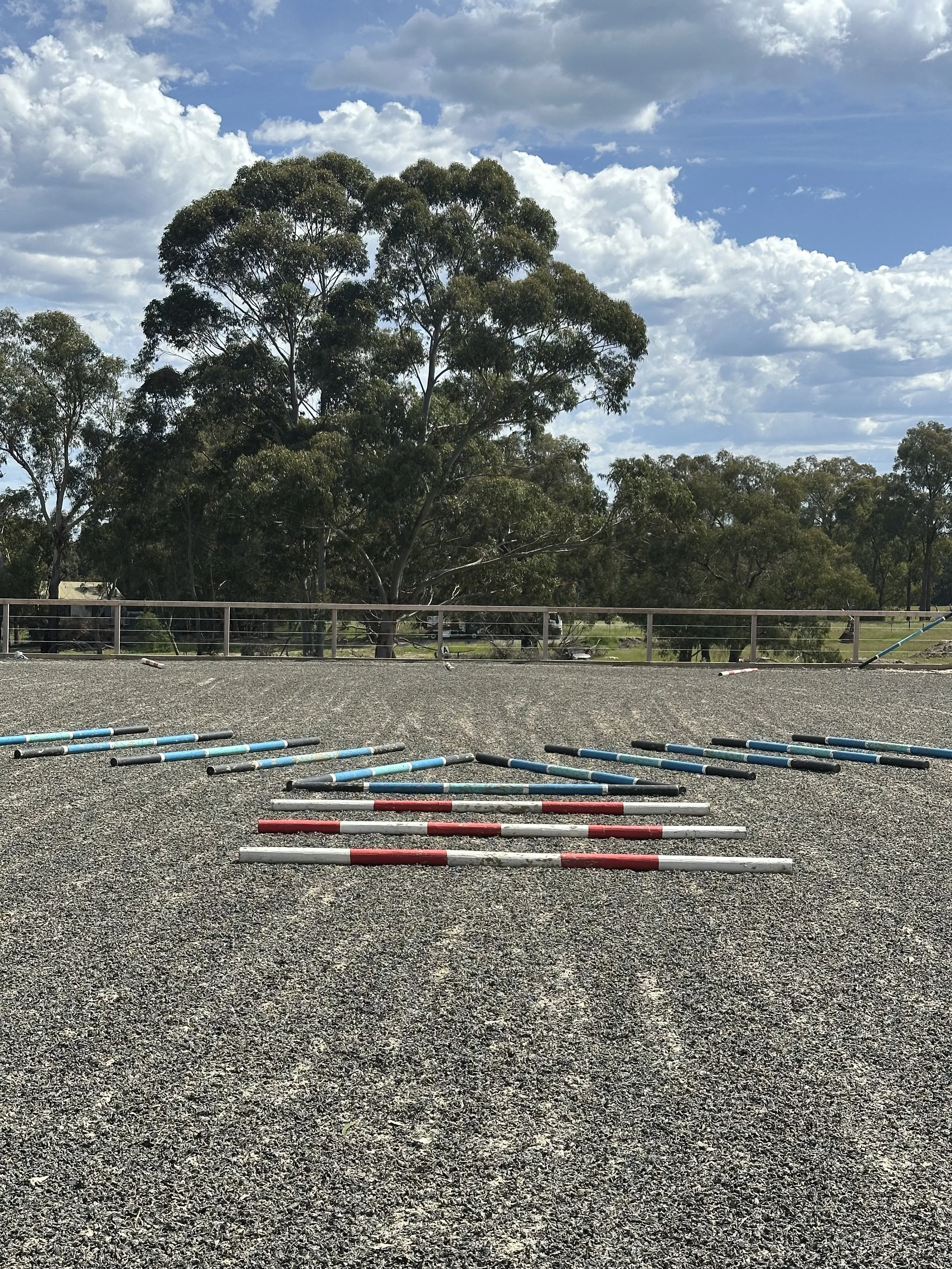 Example of poles set up for AML Poles Clinics