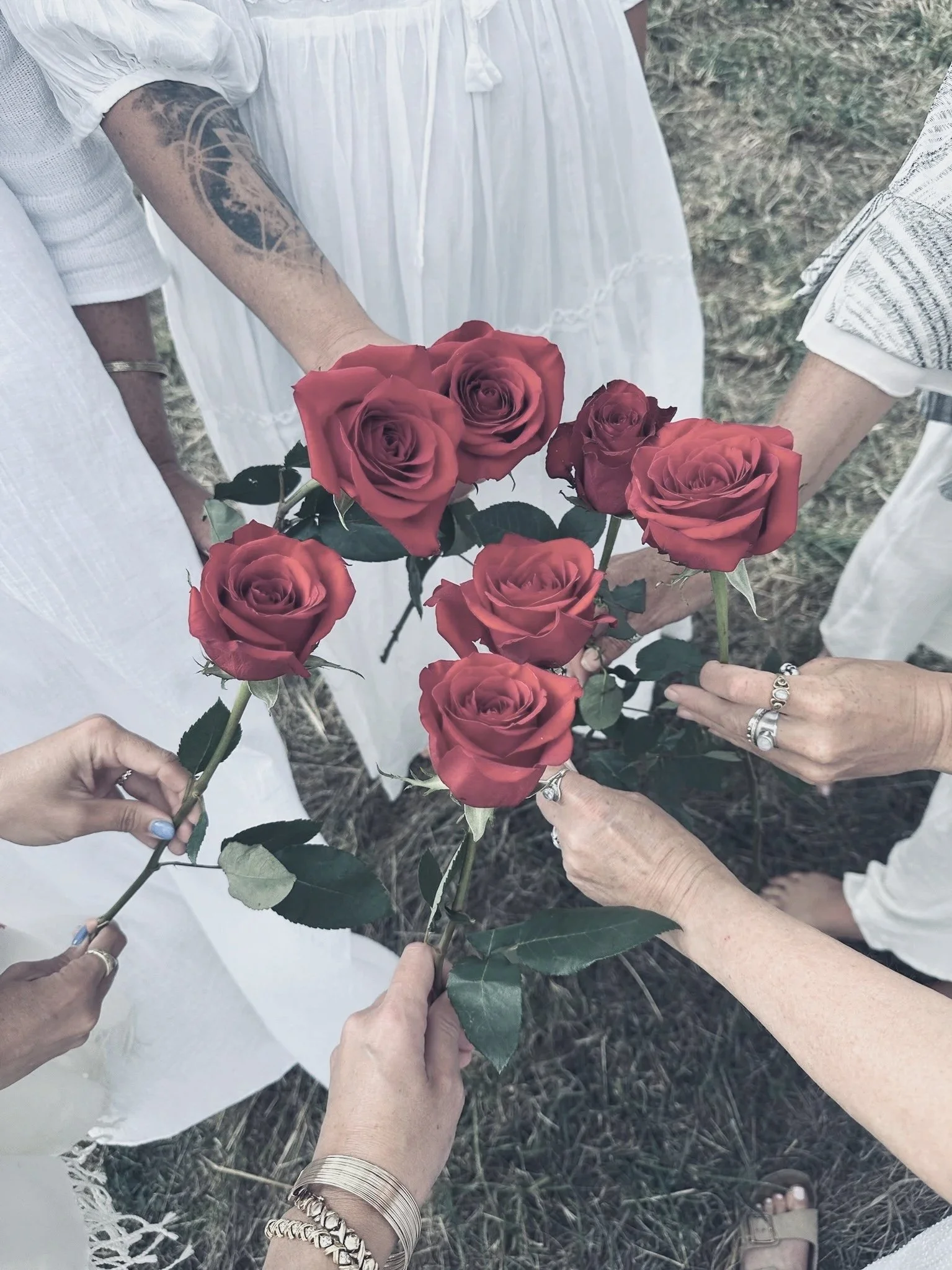 red+roses+sisters+avalon.jpg