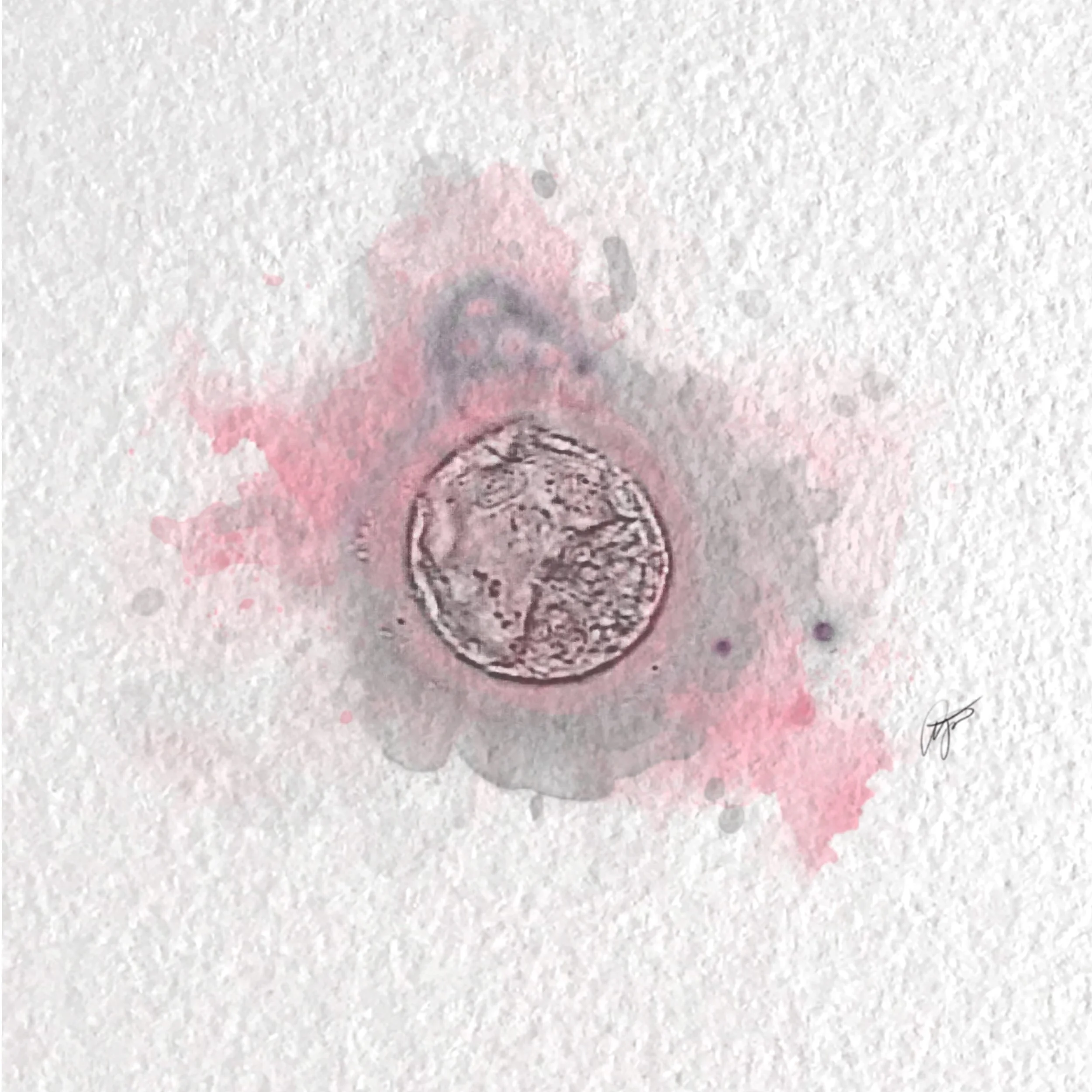 Digital Watercolor Embryo Keepsake
