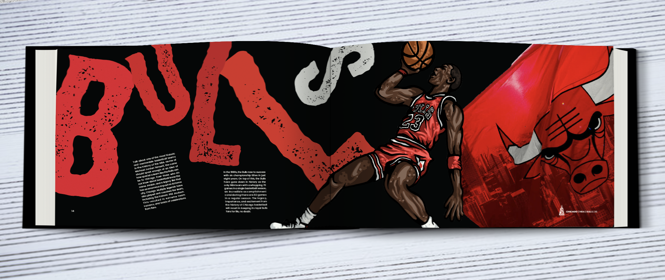 14-15CHICAGOBLLS.png